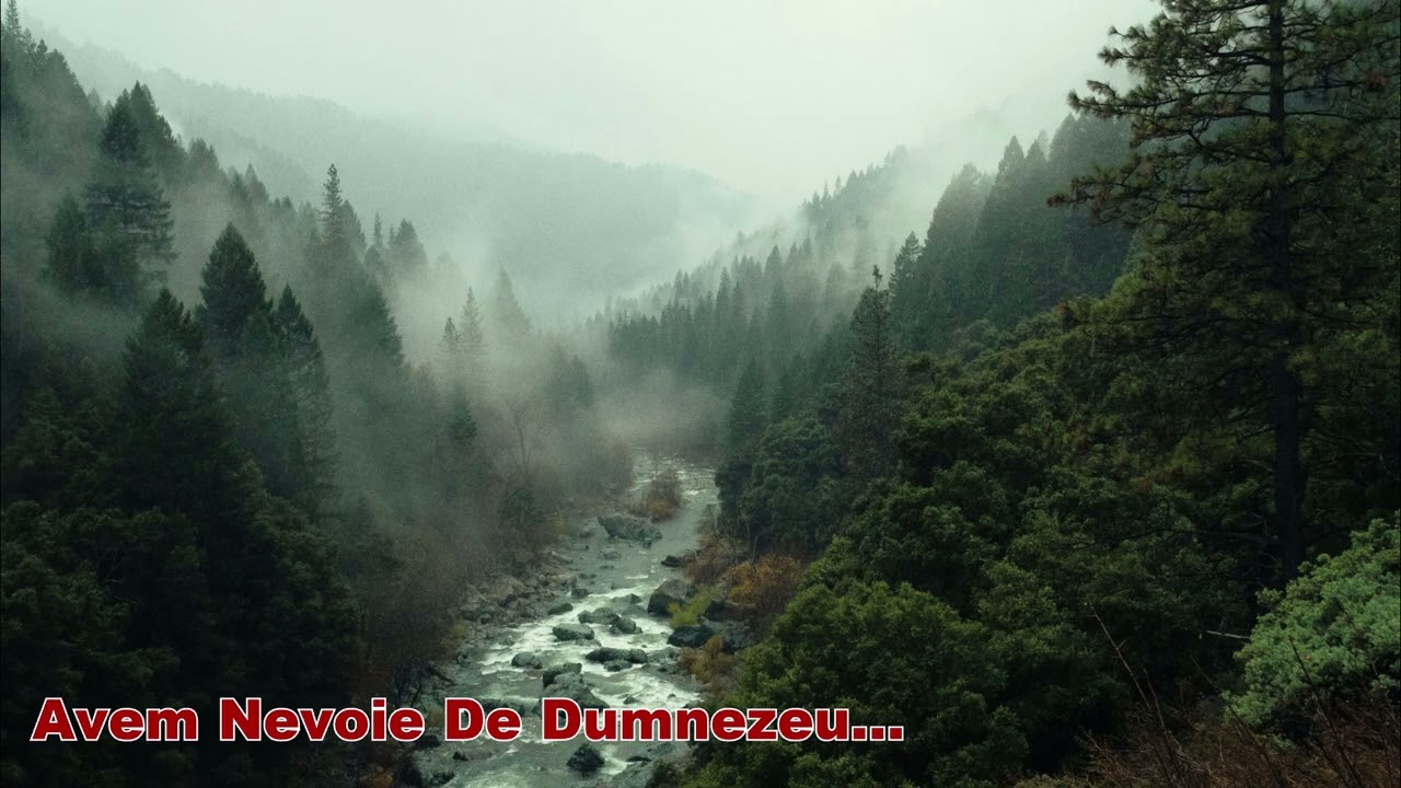Avem Nevoie De Dumnezeu... группа 