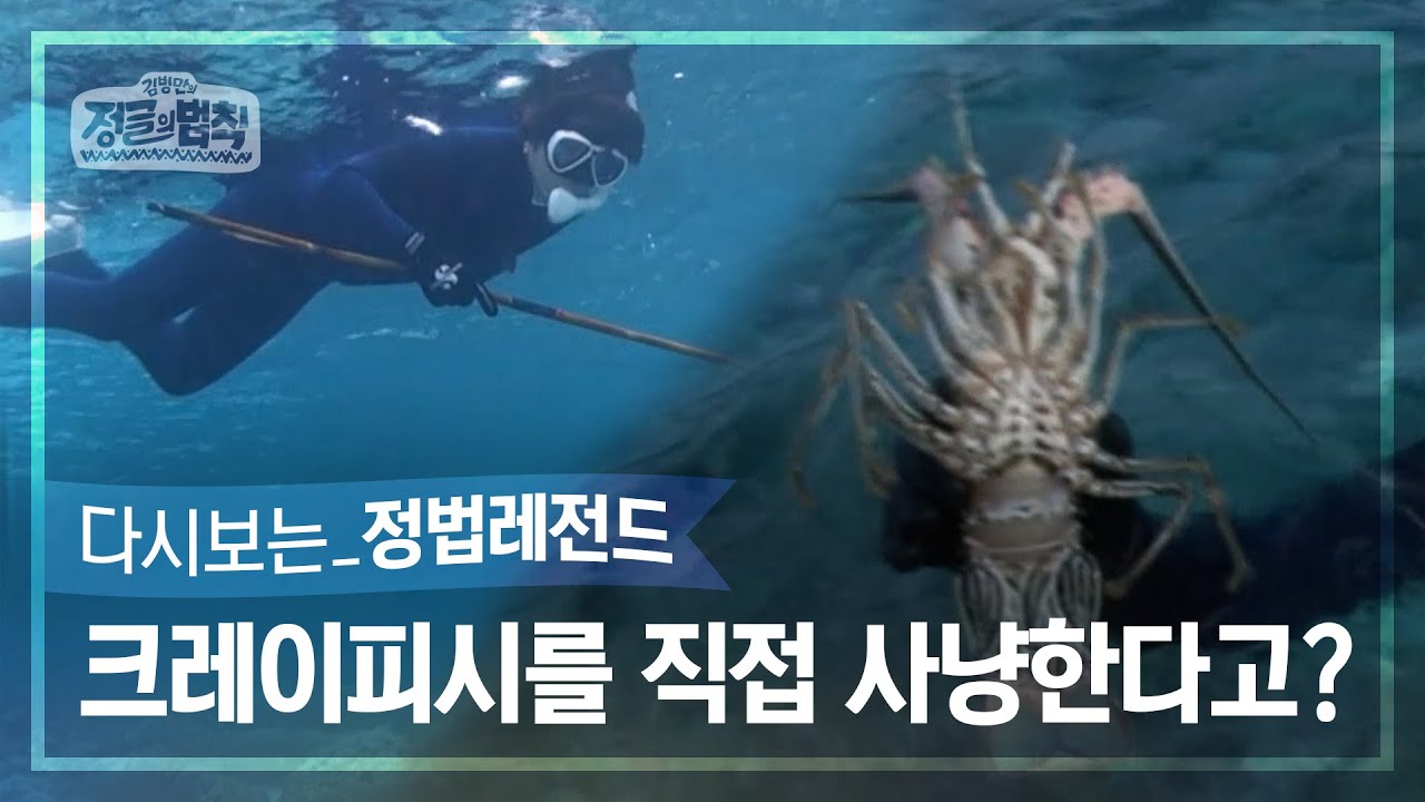 [정법레전드🏆] 포기란 없다! 수중사냥 제대로 하는 완전체 [정글의법칙 | SBS 141121방송]