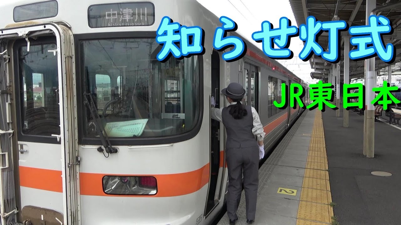 【違和感】313系がJR東日本エリアを走るとこうなります