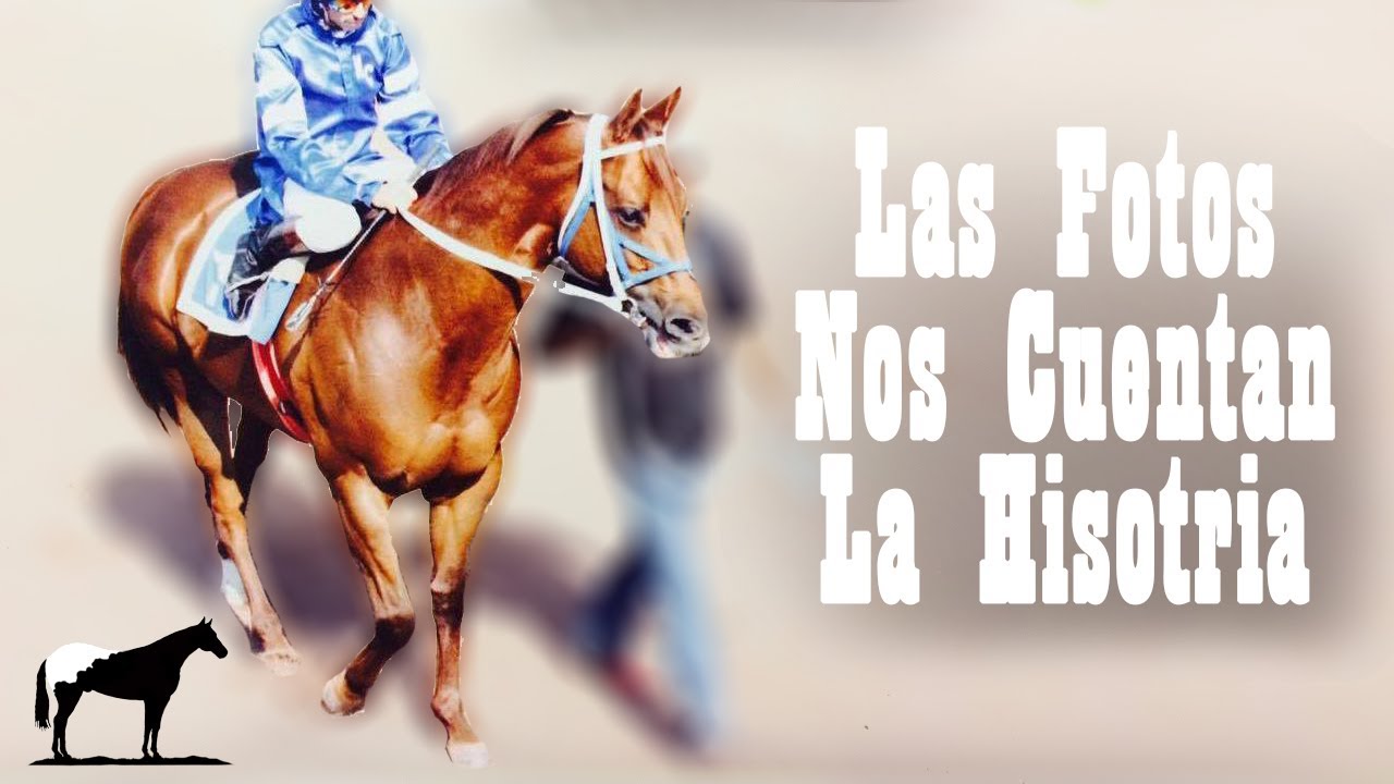 La Yegua Que Murio En Una Carrera “La Estrella”🐴-Del Cerro Soy