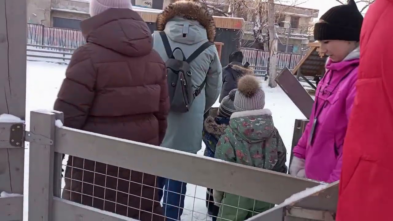 Контактный зоопарк Омск 