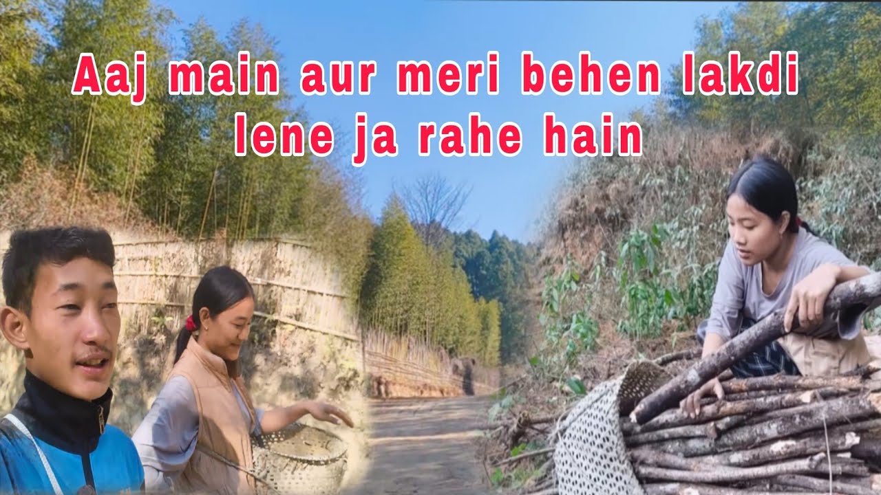 Aaj main aur meri behen lakdi lene ja rahe hain 