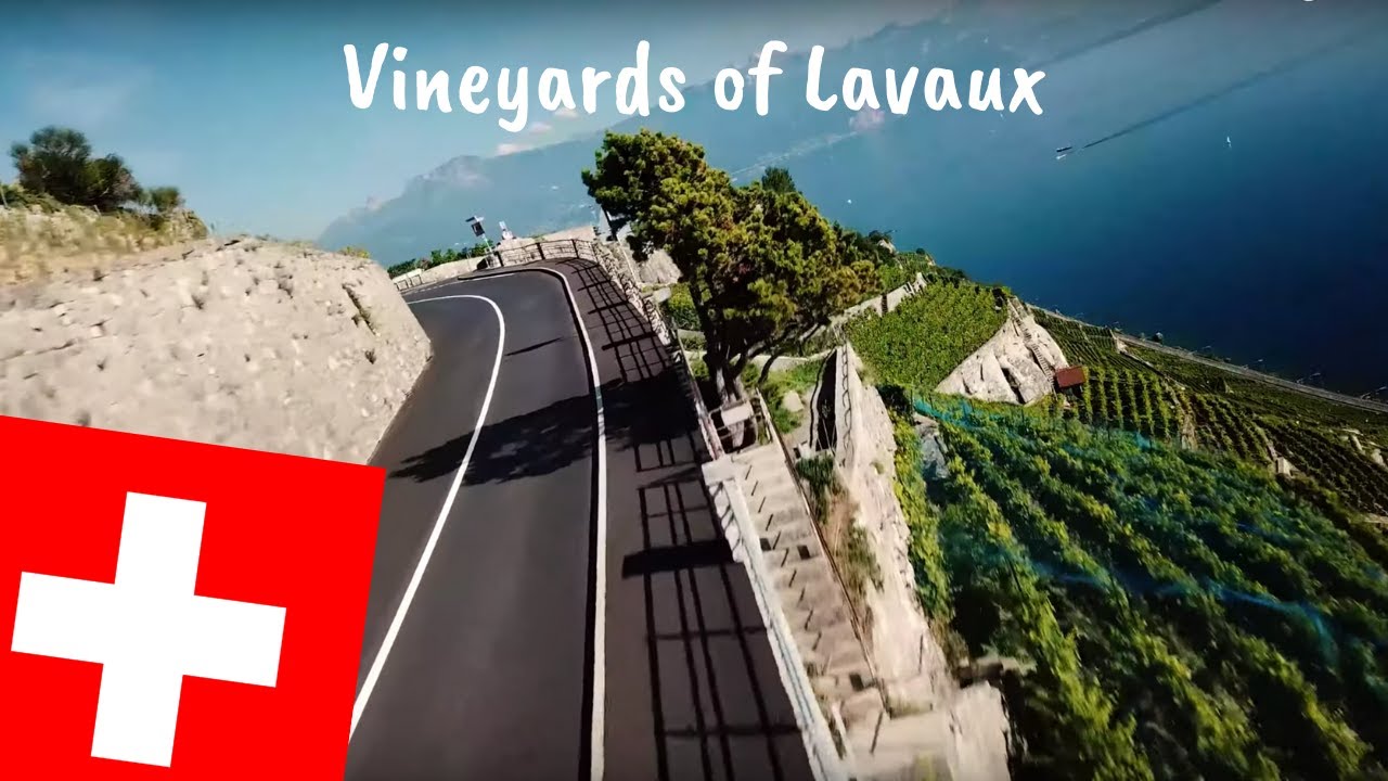 Vineyards of Lavaux | Grandvaux, Switzerland | DJI Mavic Pro | 4k (HD)