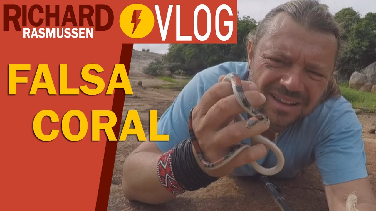CORAL, VERDADEIRA OU FALSA? - VLOG DO RICHARD