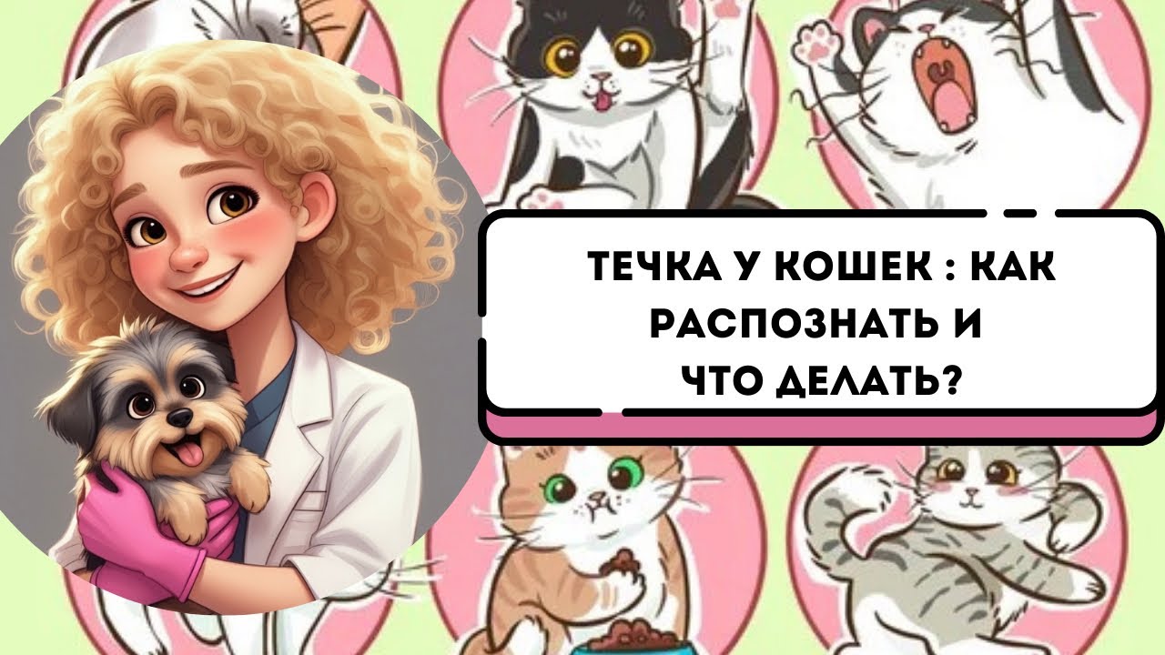 Течка у кошек : как распознать и что делать?