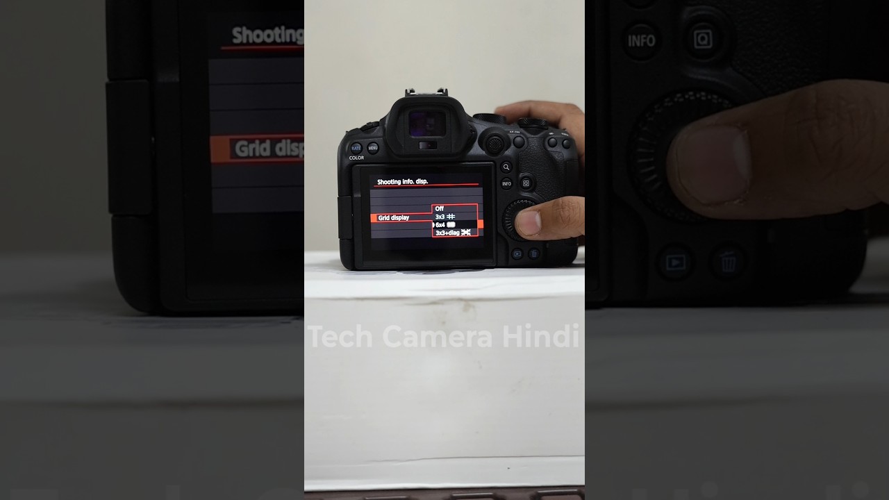 Canon R6 mark III Grid setting 