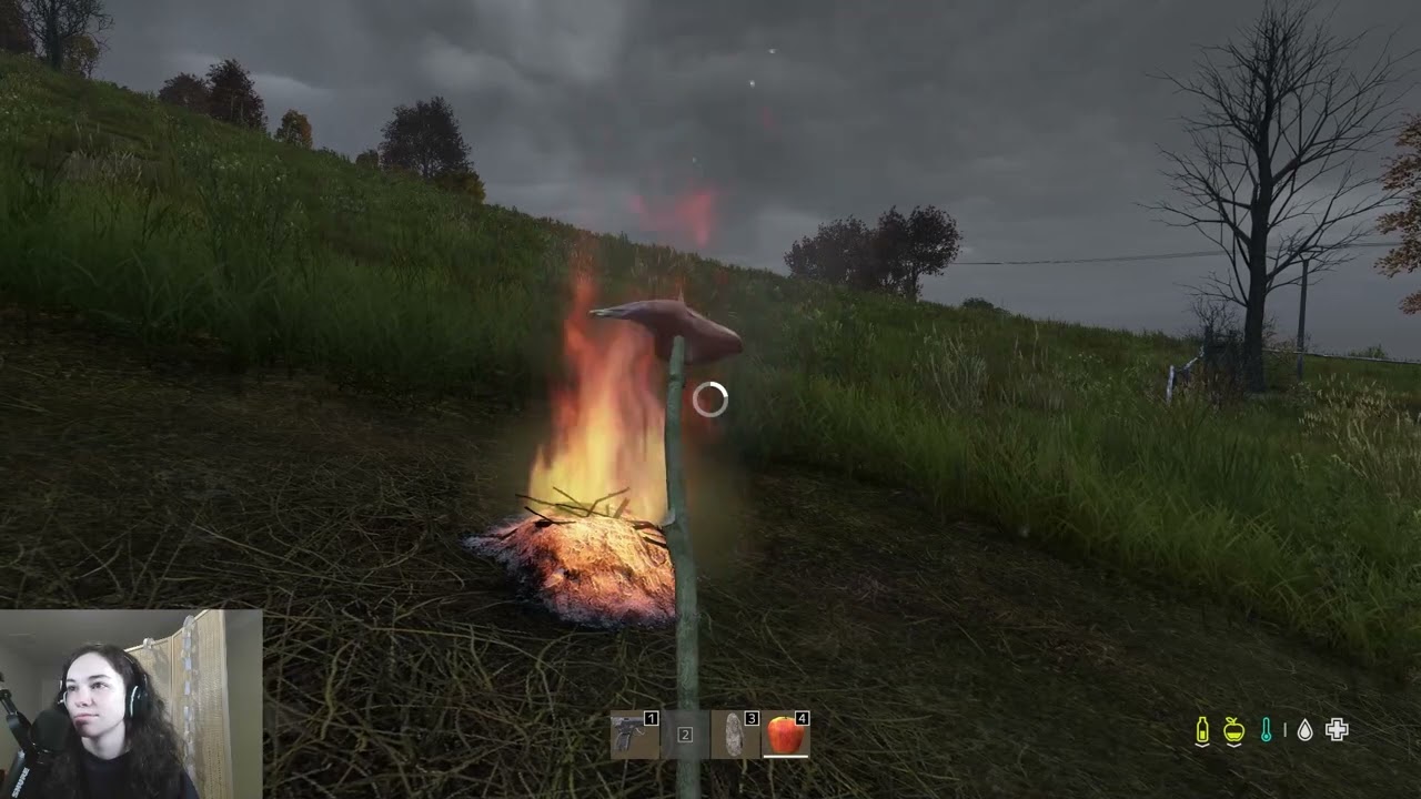 Playing a non official DayZ server for the first time
