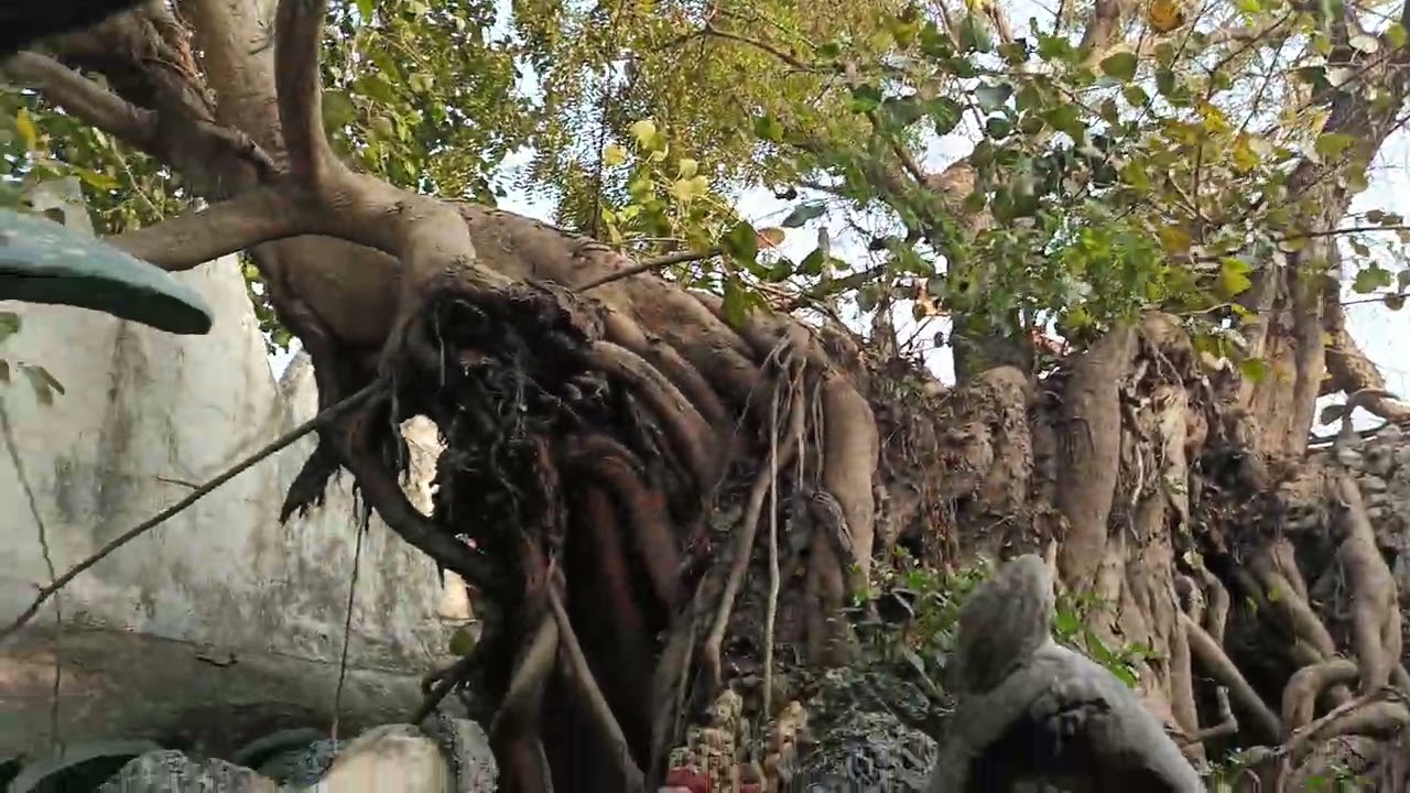 # Unchahar# Mahadevan# Mandir🙏🔱🪔💎🛕