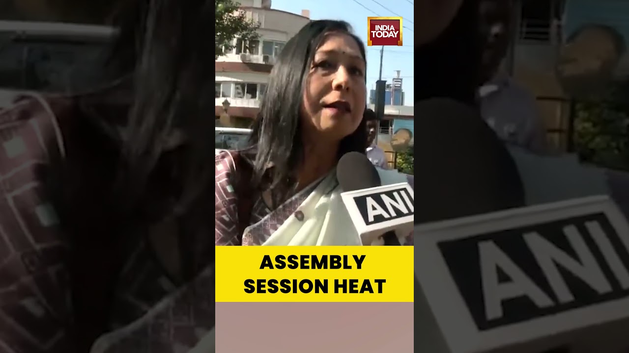 Congress MLA Sibamoni Bora Slams Move to Revisit Nellie Case During Assam Assembly Winter Session