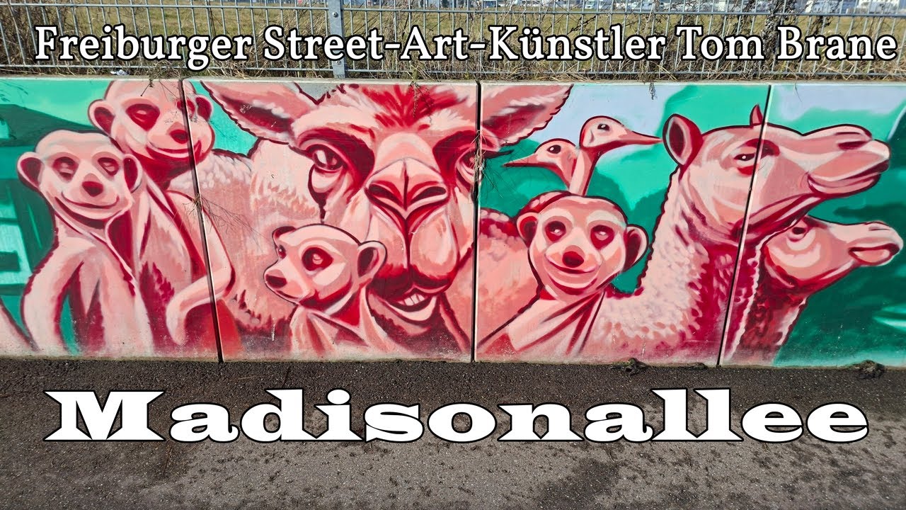 Tom Brane / Madisonallee / Freiburg #funnyvideo #4k