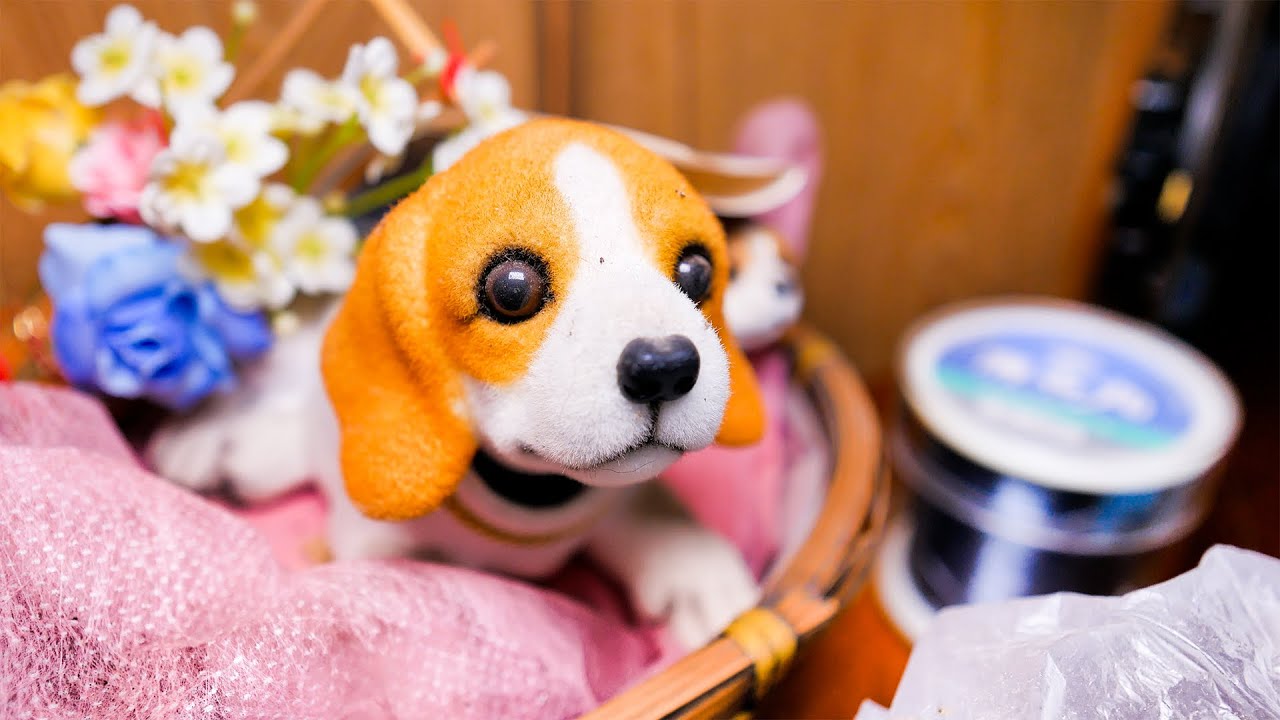 仲睦まじい夫婦と子供達が暮らした家。誰もいなくなり数十年の時を経た建物内部には昔の生活の痕跡がそのまま残っていた･･･。（亡き老夫婦の家part4 完結編）