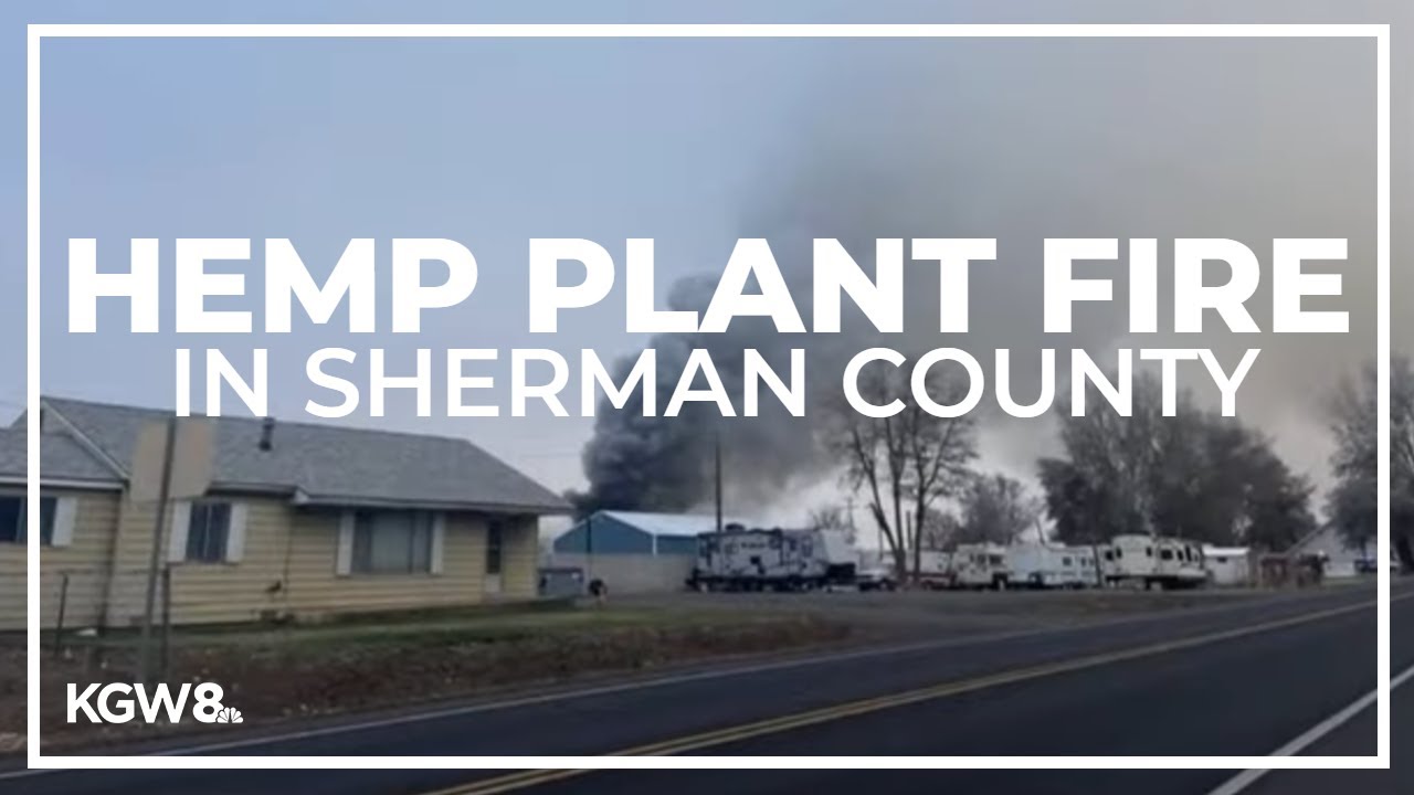 Hemp plant fire in Grass Valley prompts evacuations