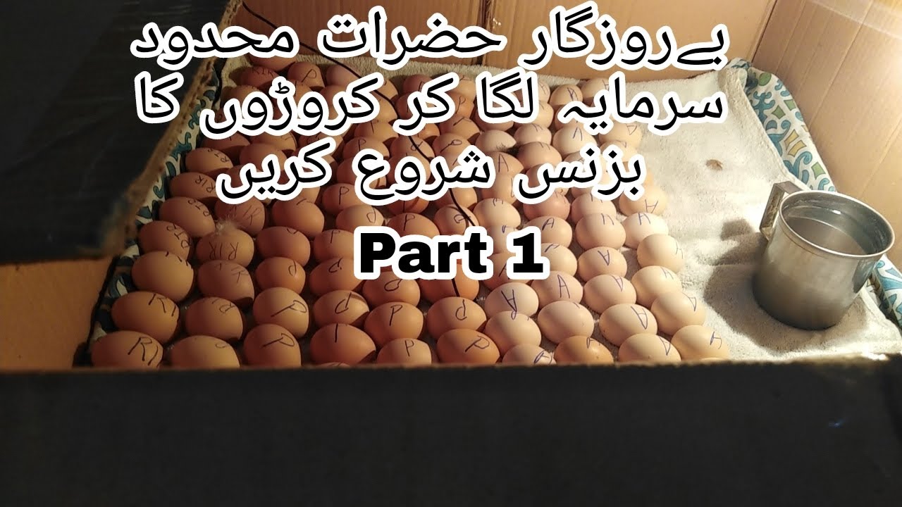 initiating a 10 million project of layer farming ||کروڑوں روپے کے لیر فارمنگ  کا بزنس || Part 1