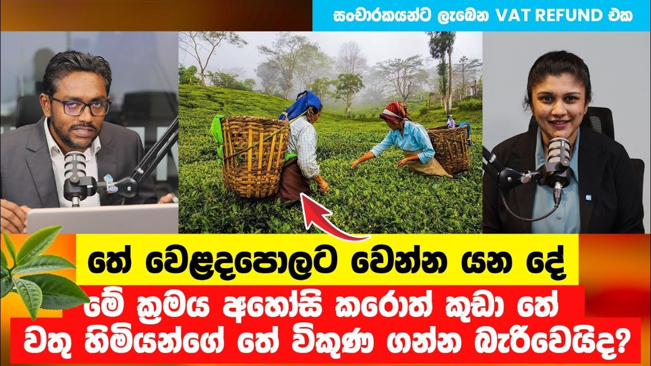 What is happening to the tea market? SVAT  explanation-1st Week - February  2025