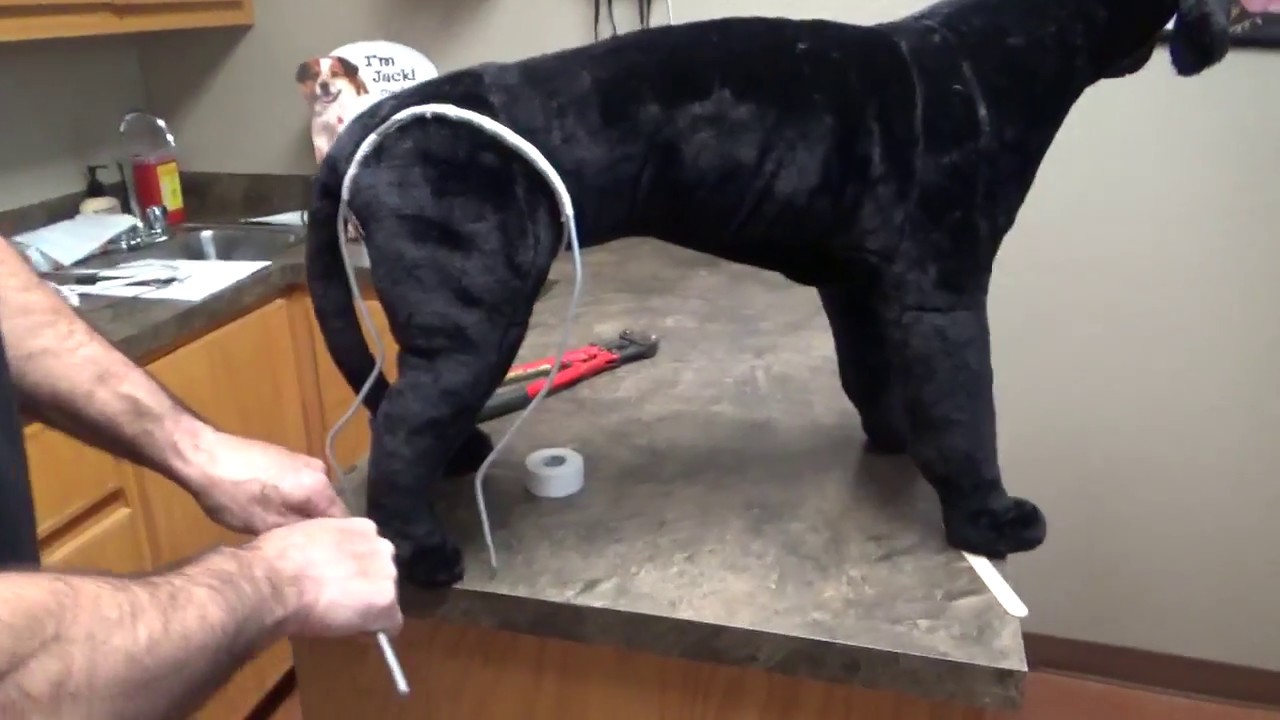 21  how to make a schroder thomas splint