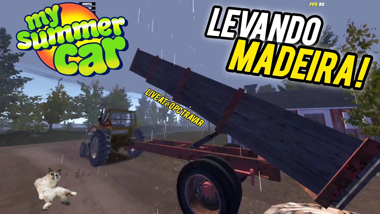 BORA TRABALHAR CAMBADA... LIVE