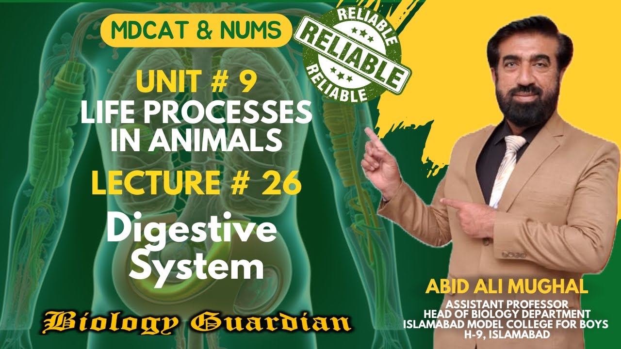 Lecture 26 MDCAT 2022 Biology Preparation Series (Digestive System Part-1) PMC/NUMS/NEET