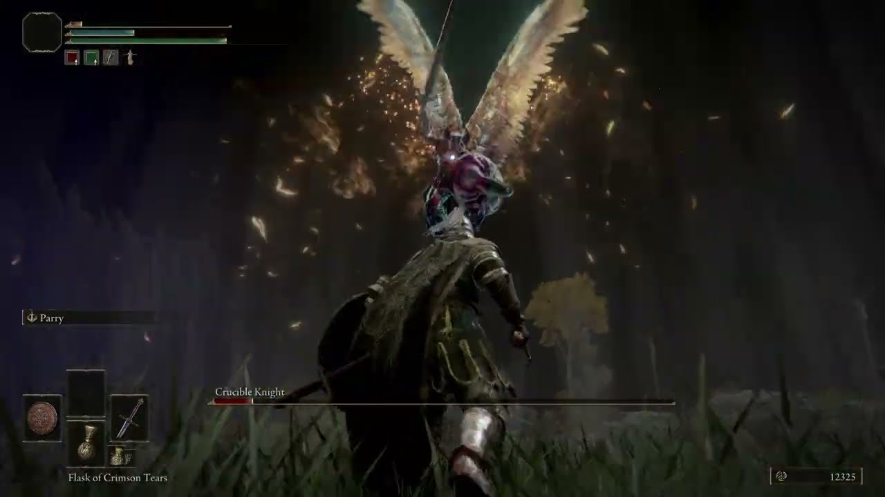 Elden Ring: Episode 8:Breaking Through Stormgate & Parrying The Crucible Knight & Making New Friends