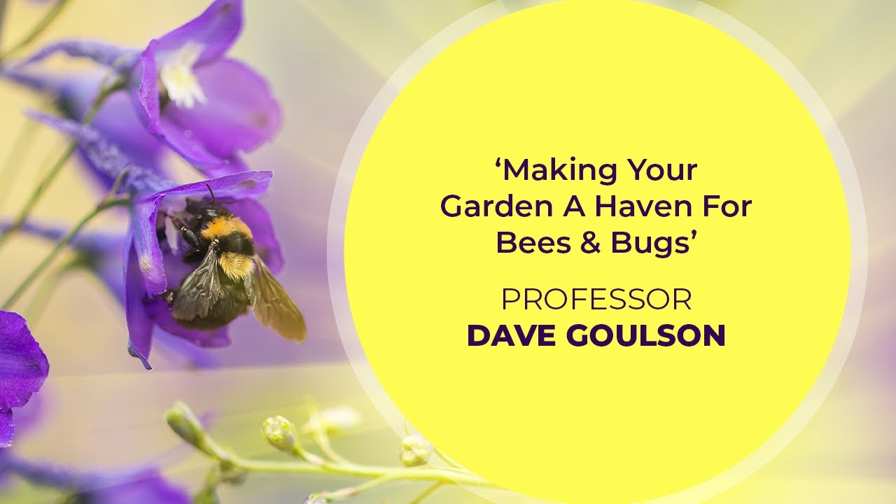 How To Make Your Garden A Haven For Bees & Bugs - with Professor Dave Goulson.