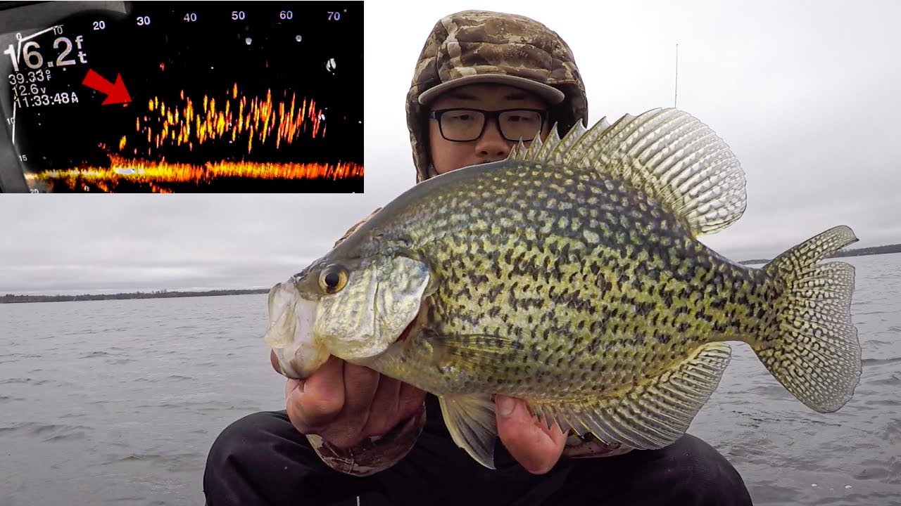 Catching SLAB CRAPPIES with Garmin Livescope! (GIANT SCHOOLS)