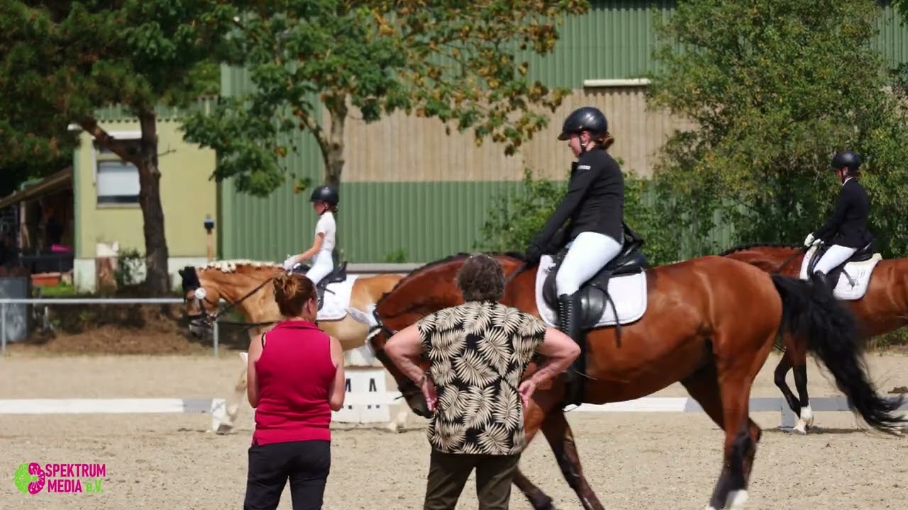 VG Bodenheim - 14/2 Reiter-WB Schritt - Trab - Galopp - Dressur- & Springturnier 2025