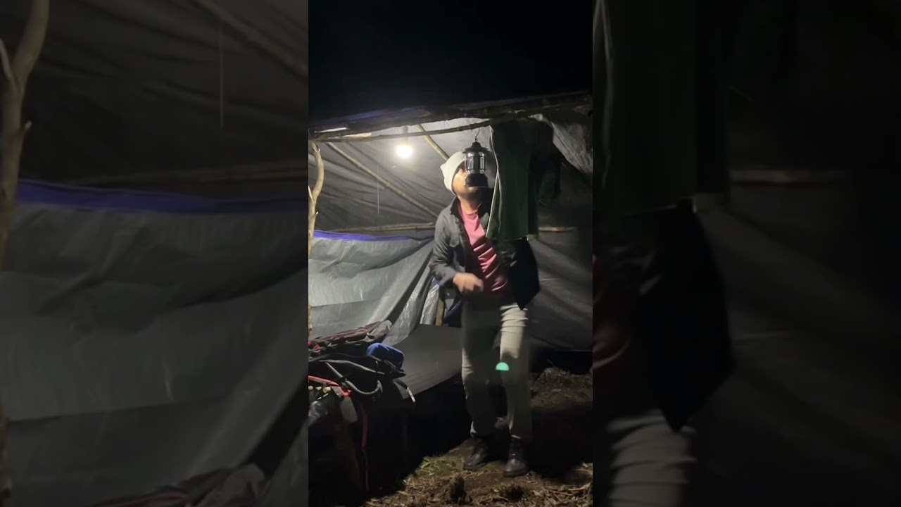Solo Camping di Hutan Liar 🌲 Bangun Shelter Sendiri, Bertahan Semalaman! 