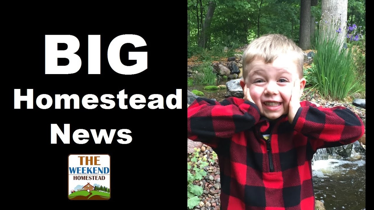 Unbelievable Homestead News!  A Big Surprise for our Family