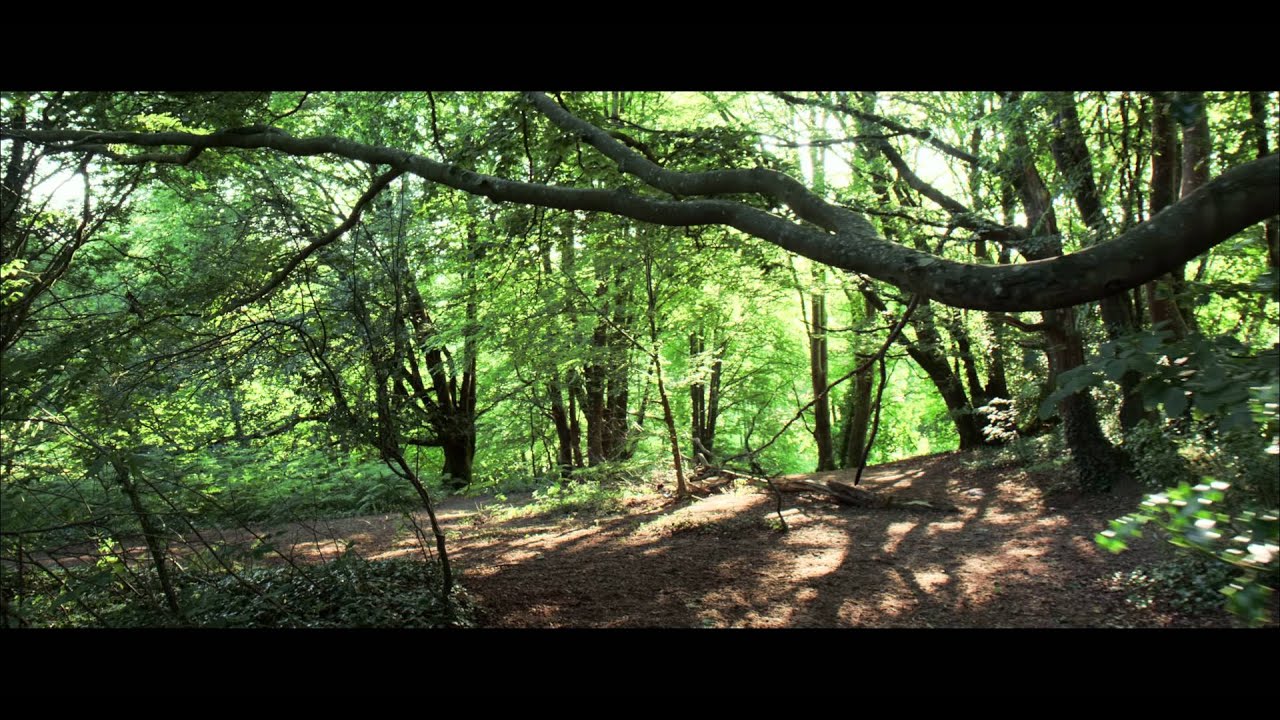 Sony FS700 and Odyssey 7Q 4K Raw Showreel
