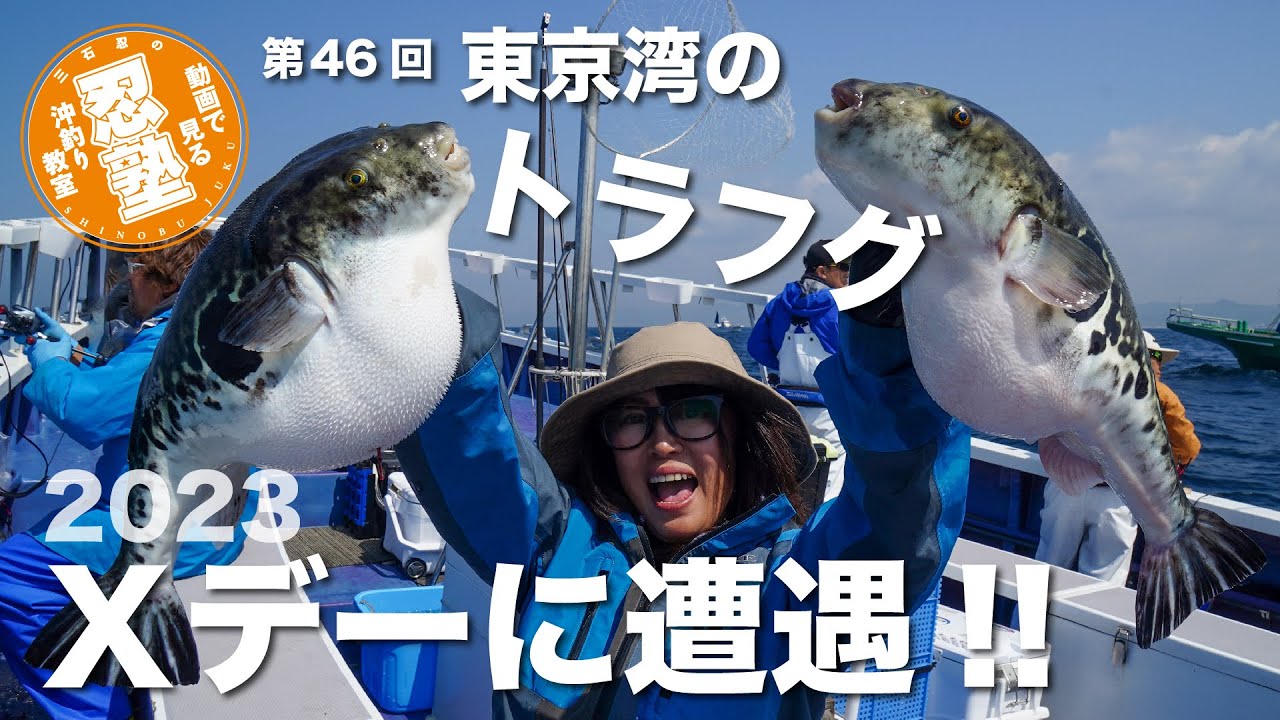 東京湾のトラフグ2023Ｘデーに遭遇!!【忍塾THE・ムービー46】
