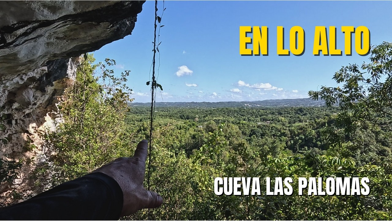 La Cueva que Muchos Buscaron y Nadie Encontraba | Cueva Las Palomas, Morovis, PR