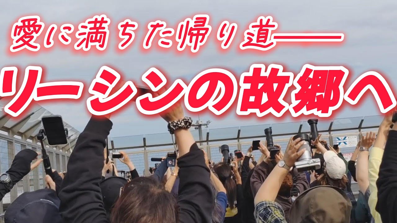 愛に満ちた帰り道——シンシンとリーリーの故郷へ