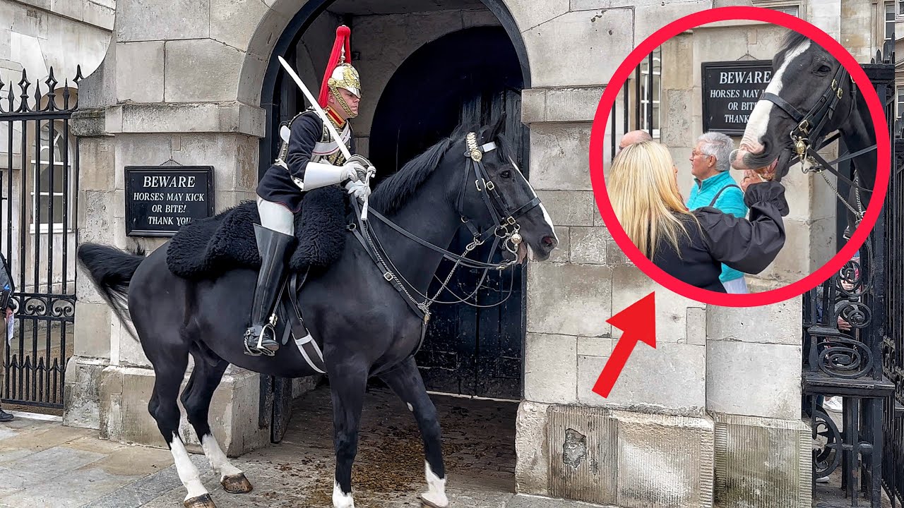 Horse Goes Super Crazy after Lady Pooked it's Eyes