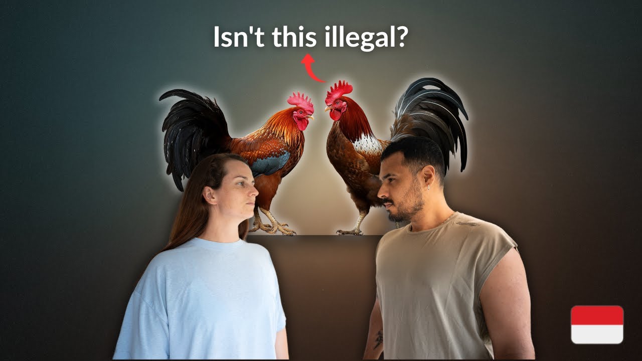 What Tourists Don't Ask About Bali 2026
