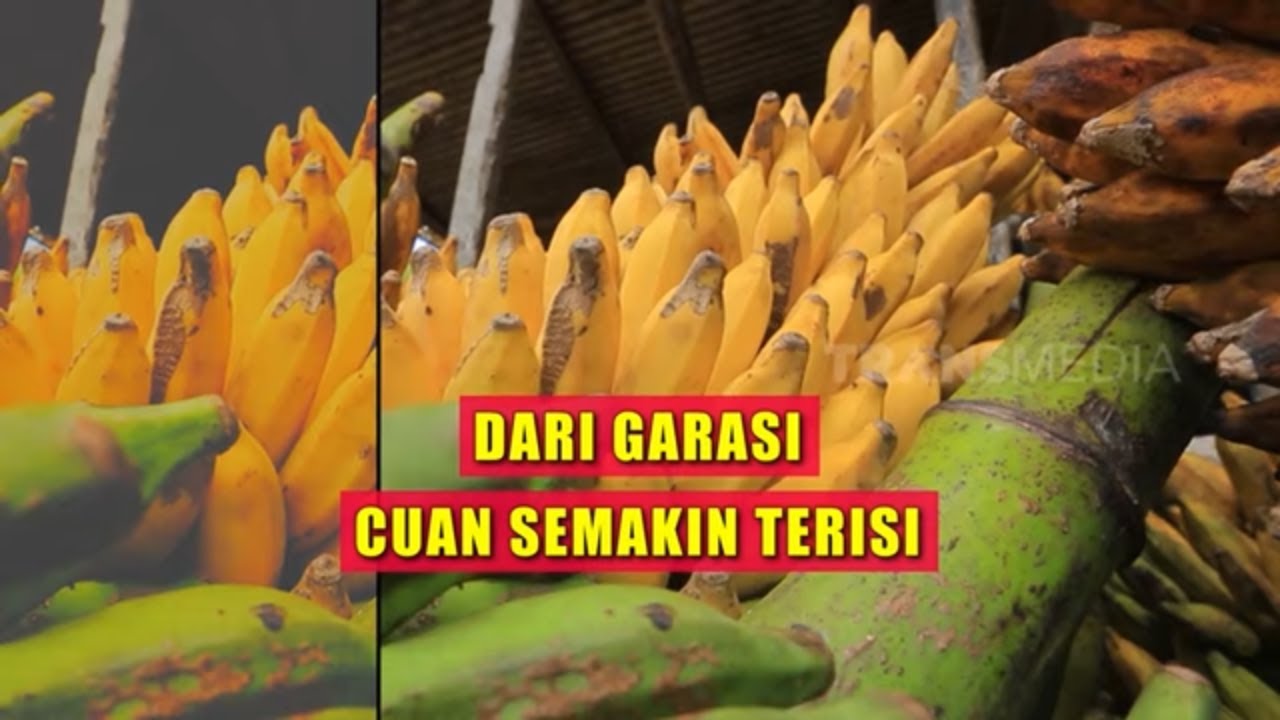 Dari Garasi Cuan Semakin Terisi | CUAN BOS (20/08/22)