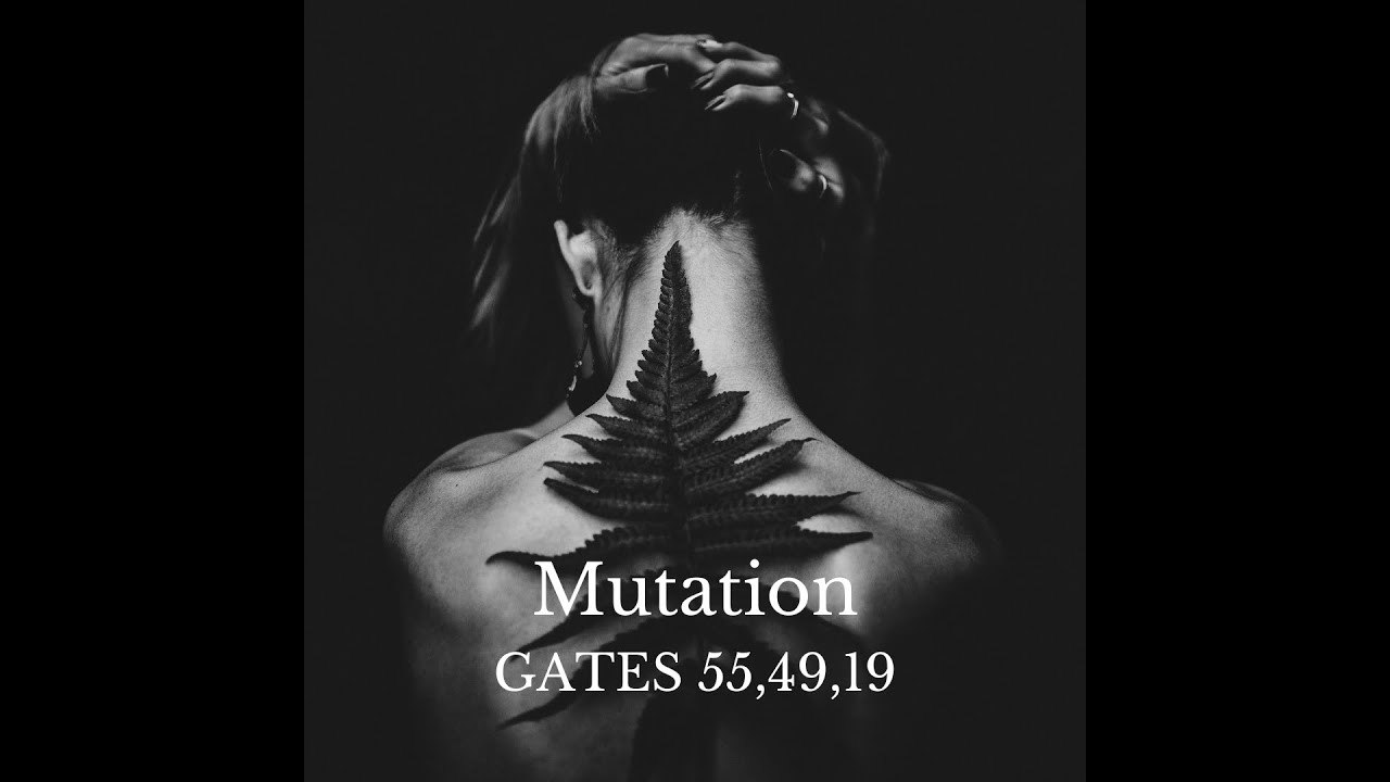 Human Design Mutation and Evolution in 2027