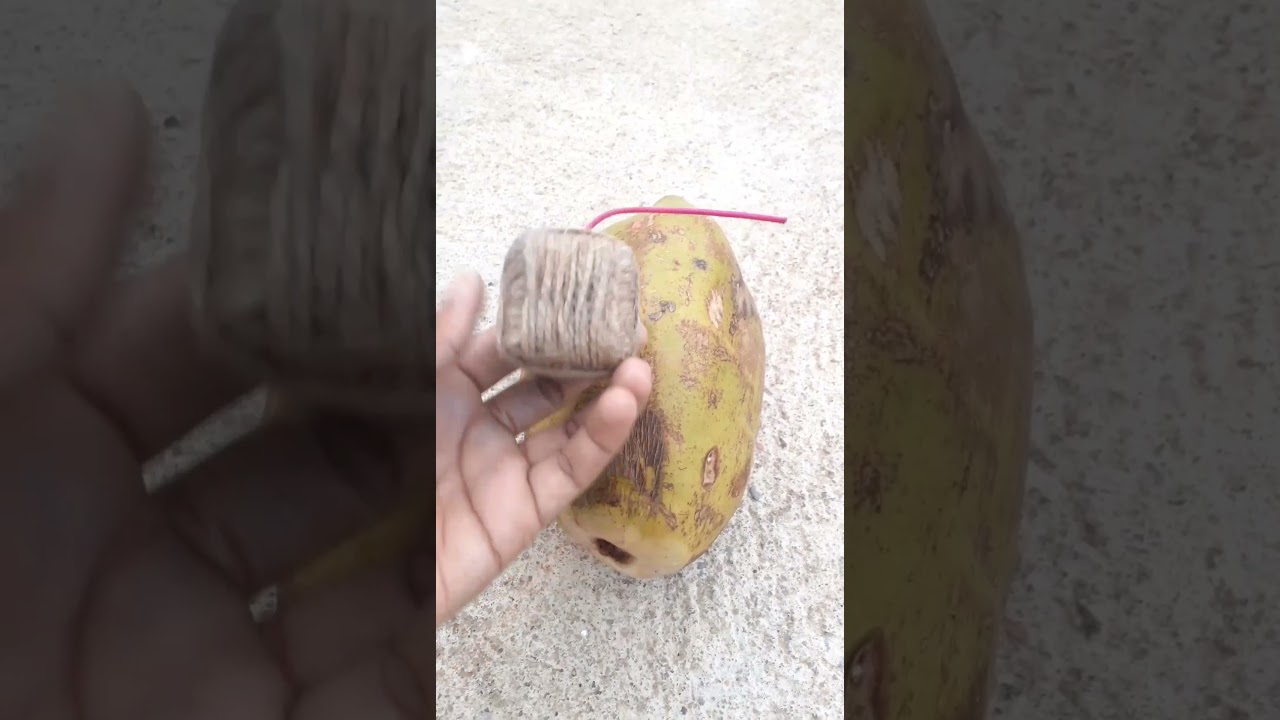 Sutli bomb vs Coconut #shorts #sutlibomb
