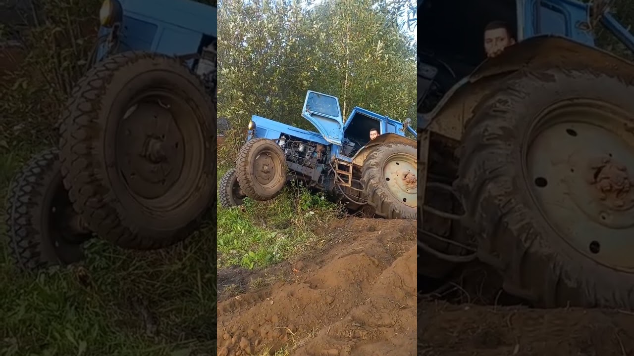 мтз 80
