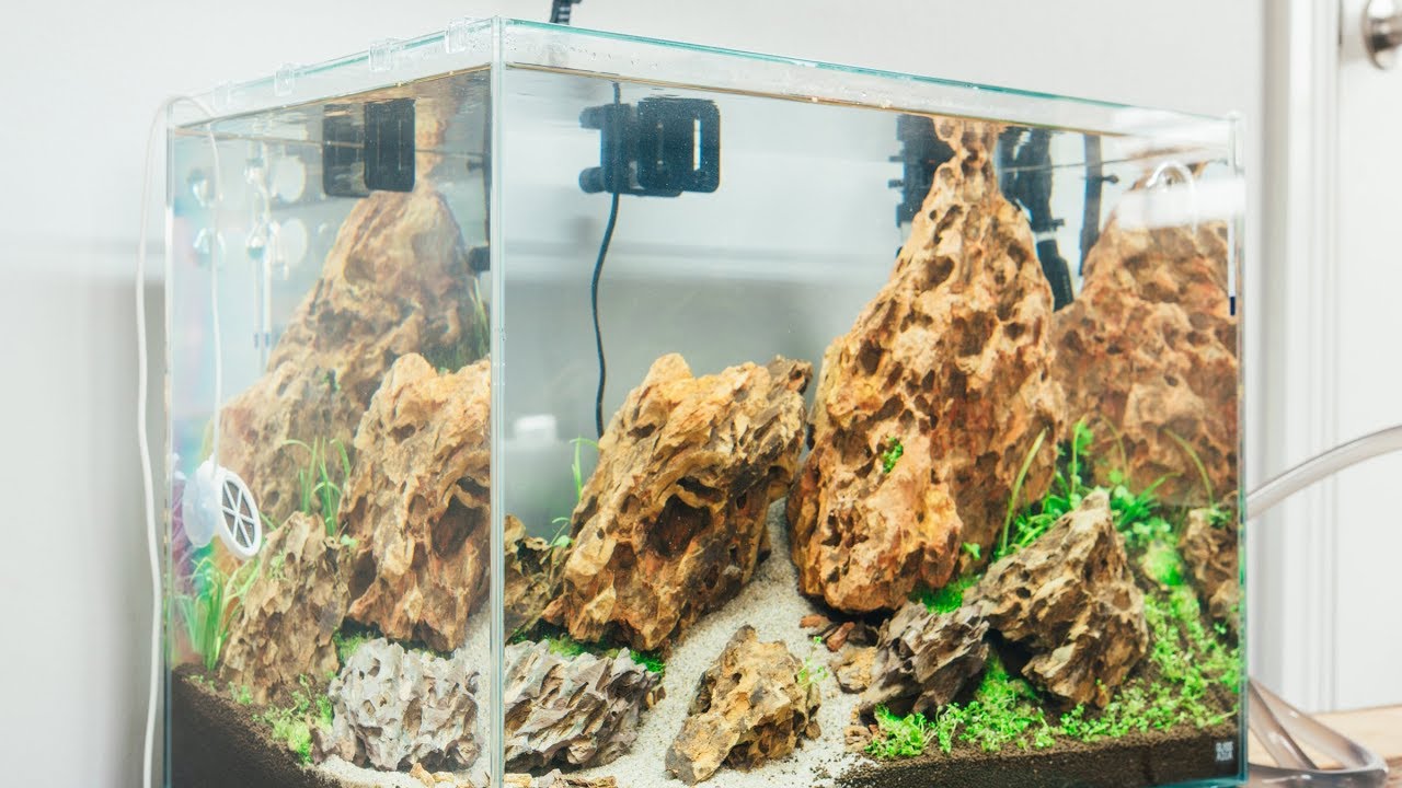 15 Gallon Planted Aquarium Tank Planting - PROJECT 310 Part 2