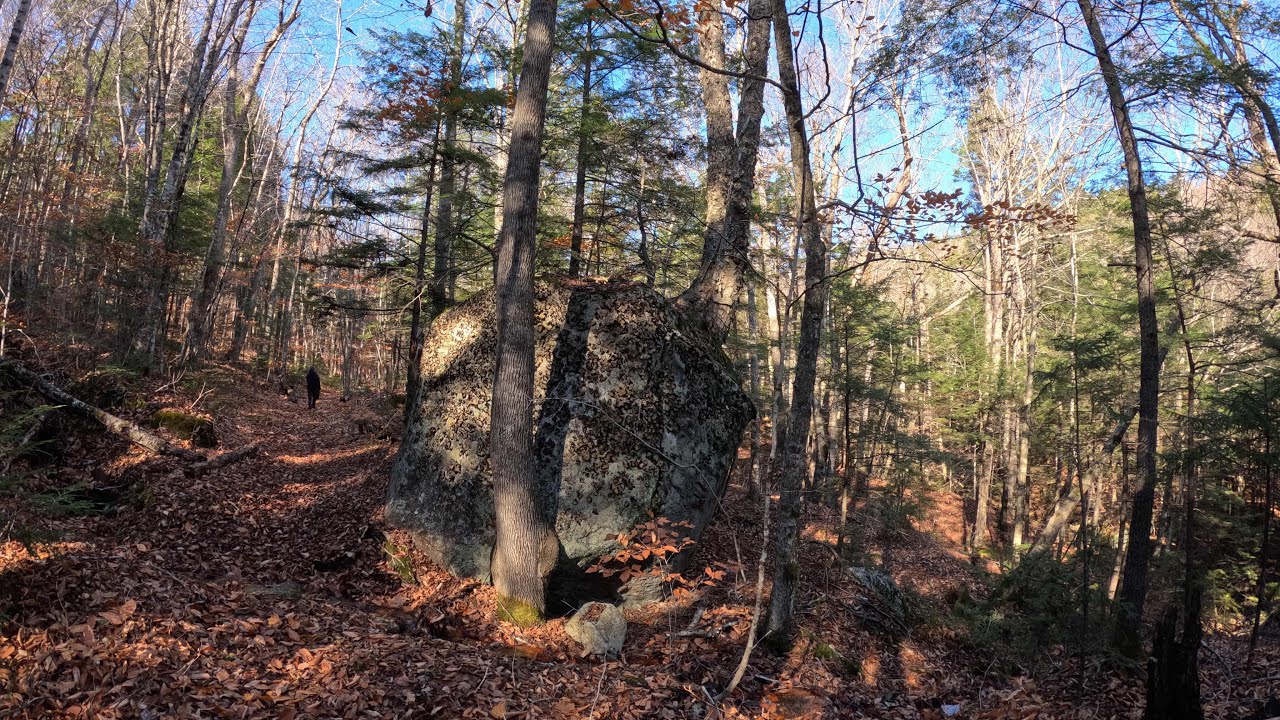 Paugus Trail: Wonalancet NH