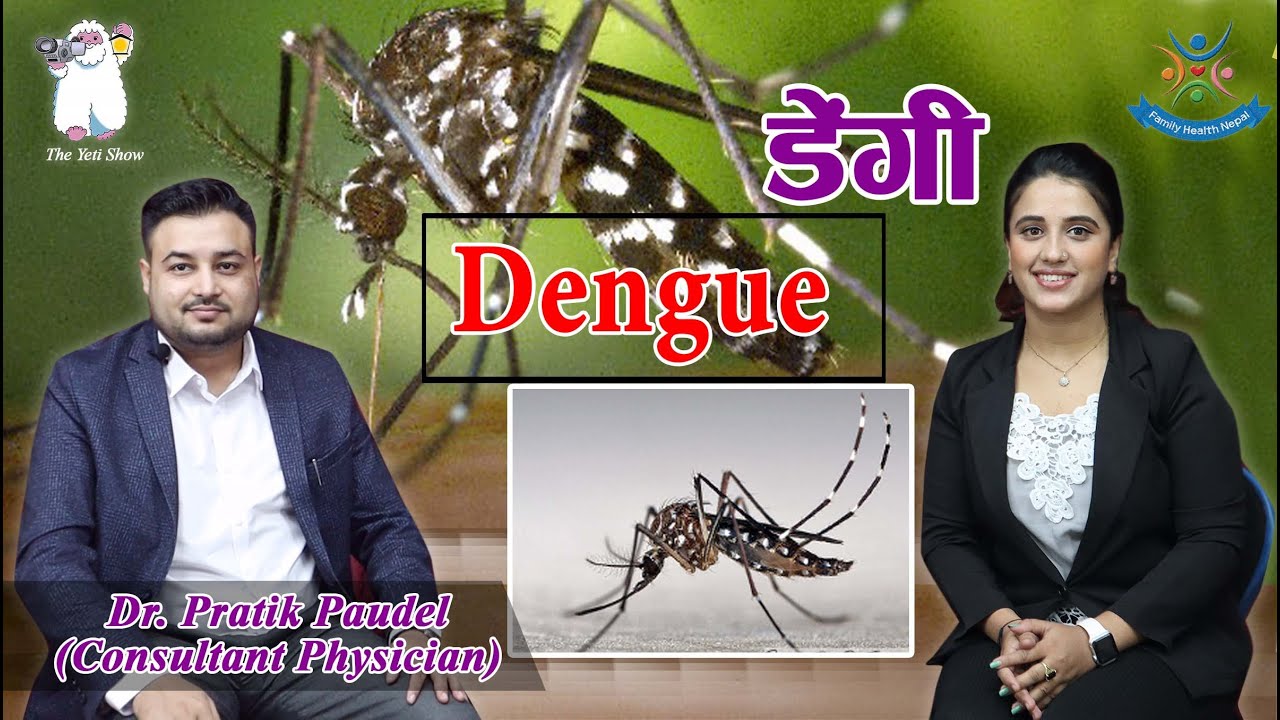 Dengue (डेंगी रोग)  परिचय ,लक्षण र  रोकथाम  (Dr. Pratik Paudel)  (Annapurna Neuro Hospital)