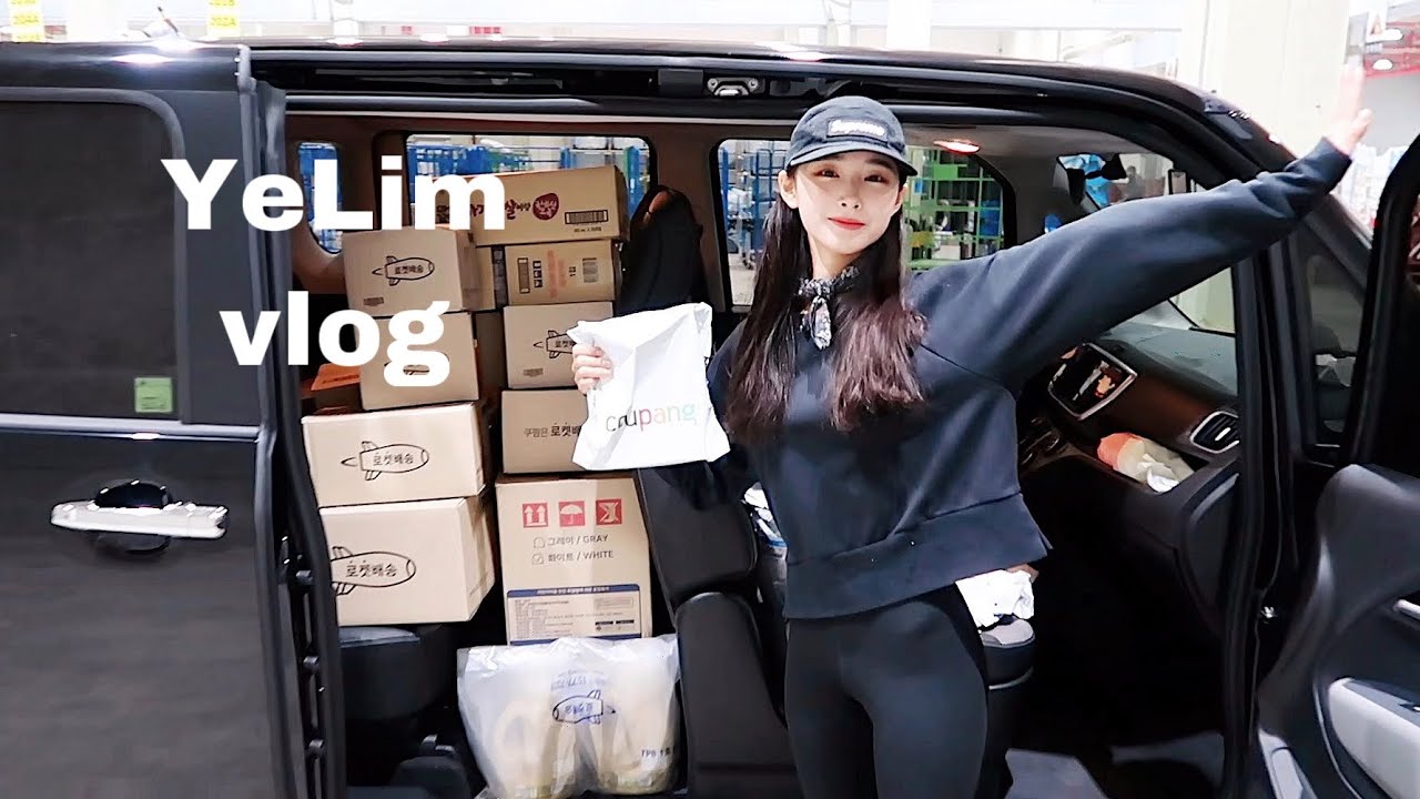ENG) YeLim vlog 쿠팡 플렉스 알바 브이로그 (#쿠팡 #쿠팡플렉스 #로켓배송 #알바 #프렌치불독 #신용카드 #카레밥)