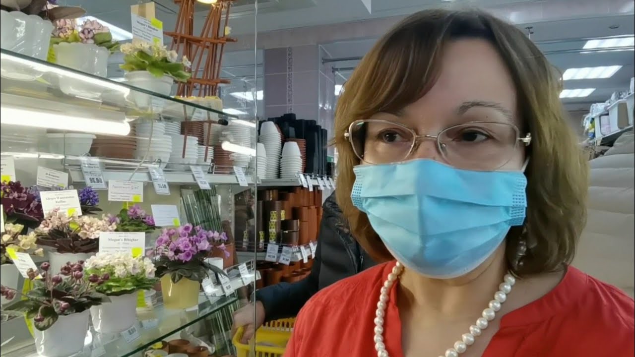Мини фиалки Нины Старостенко на выставке в «Доме Фиалки» в Москве🌸 весна 2021