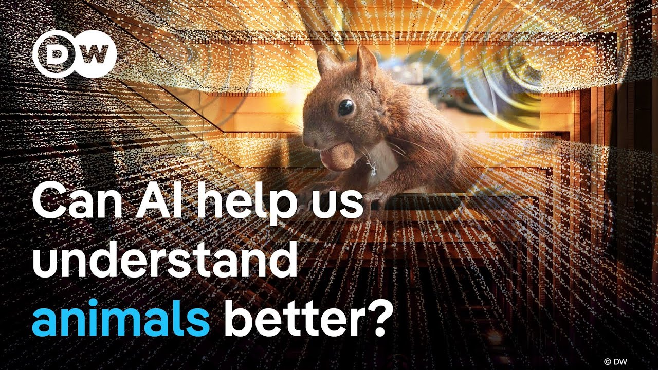 AI in Animal Conservation