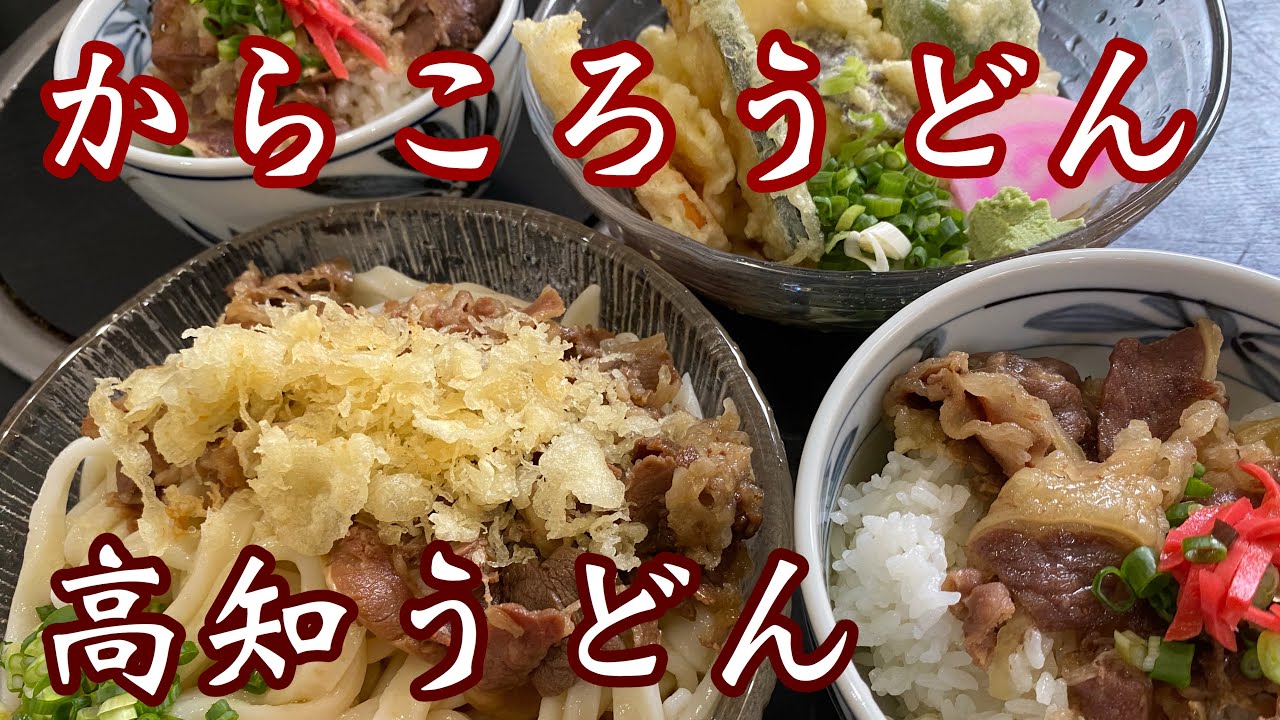 【高知うどん】からころうどん太くてもちもち！ミニ牛丼めっちゃ美味いよー