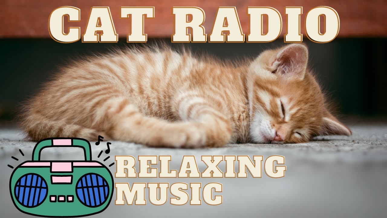 CAT RADIO - relaxing music for cat, kittens, cats. Your cat will fall asleep quickly to this music