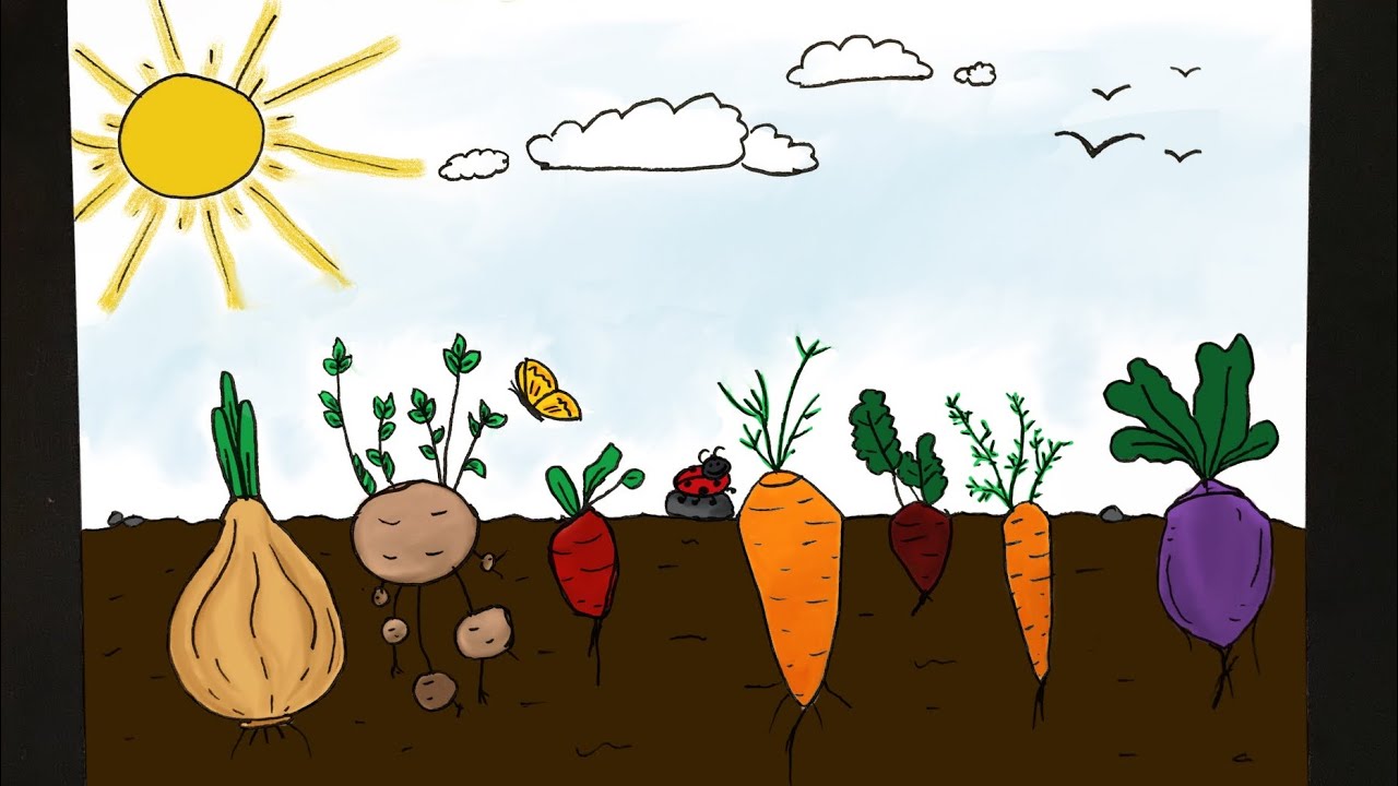 How To Draw A Veggie Garden