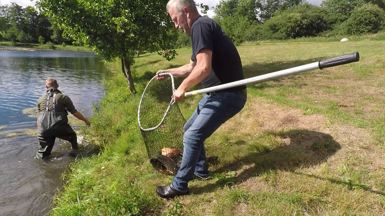 Stenvad Put and Take: Udsætning & klip af søen og naturen omkring