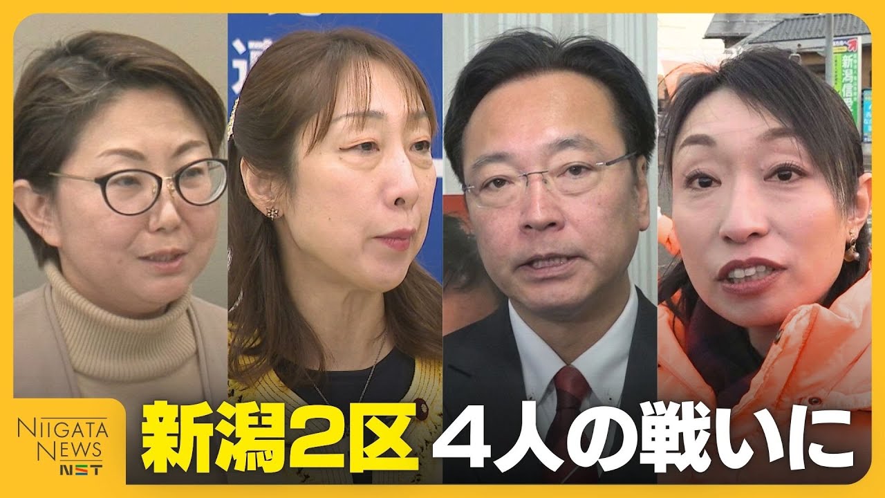【衆院選・新潟2区】中道・菊田真紀子氏と自民・国定勇人氏の現職対決に参政・平井恵理子氏と維新・金井典子氏の新人2人が割って入る構図か