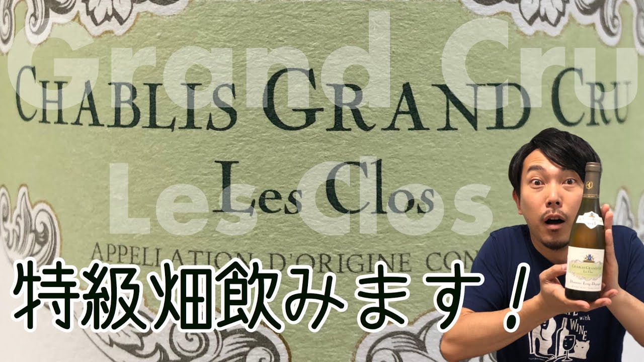 【フランス シャブリ 白ワイン】まさかのグランクリュ 飲みます！！！ ゆきおとワイン94「Long Depaquit Chablis Grand Cru Les Clos 2013」