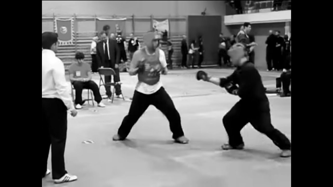 When Tai Chi Works It Looks Awesome